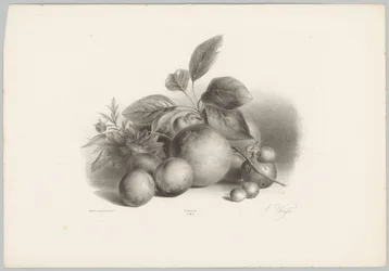 Flores, nectarinas y avellanas Estudios de flores y frutas (...) Décimo episodio (título de la serie)