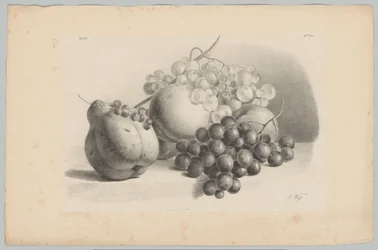 Calabaza, bayas, uvas y melocotones
Estudios sobre flores y frutas (...) 3ª entrega (título de la serie)