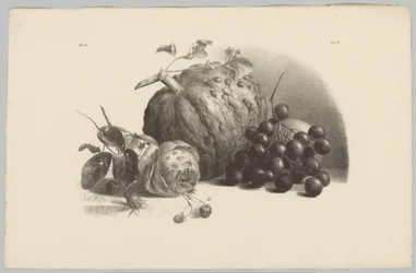 Calabaza, uvas, rosa y fresas
Flower and Fruit Studien (...) 3er episodio (título de la serie)