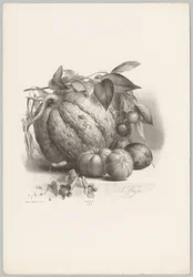 Calabaza, tomates y cerezas Estudios de flores y frutas (...) Décimo episodio (título de la serie)