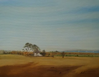 Casa y campos, 2016