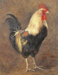 El gallo, 1999