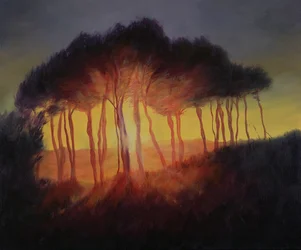 Árboles Salvajes al Atardecer, 2002