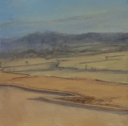 Seto en zigzag, Somerset, 2022 (óleo sobre lienzo)