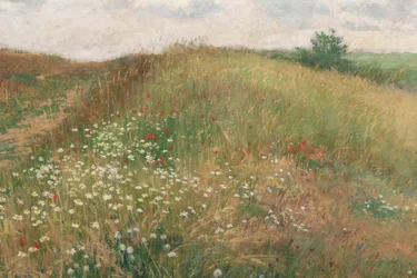 Verano, 1897
