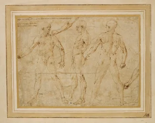 Tres desnudos masculinos, de frente, de espaldas y de perfil; ...