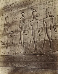 Bajo relieve del Templo en Edfu