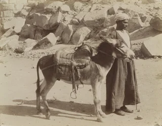 Bourier y Bouriquer, Egipto