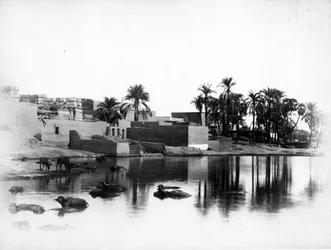 Luxor visto desde un barco en el Nilo, c.1860-80