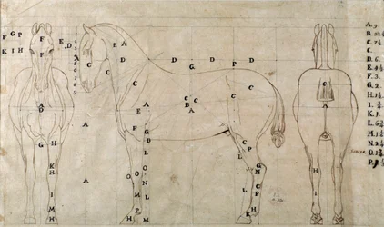 Estudio para un caballo para un monumento ecuestre (dibujo)