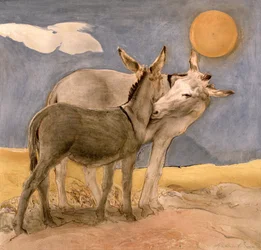 Burros, 1989