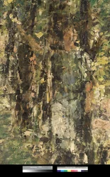 Reflejos, 1918-20