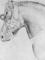Cabeza de un caballo, del Álbum Vallardi