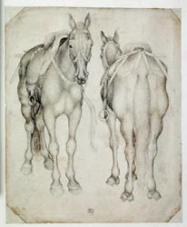 Dos arneses, vistos tres cuartos, uno desde el frente y el otro desde atrás. Dibujo de Pisano Antonio di Puccio dit Pisanello (1395-1455)