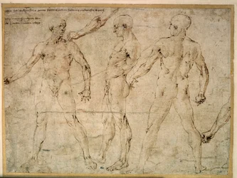 Tres hombres desnudos. Dibujo de Antonio Pollaiuolo (Pollaiolo) (1432-1498)