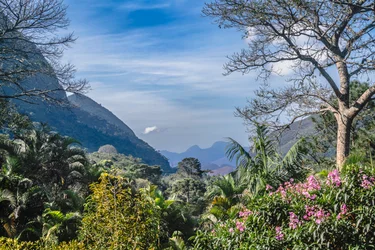 Paisaje, 2020 (foto)
