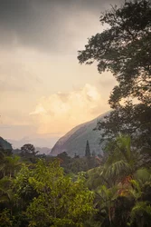 Serra dos Órgãos VIII, Petrópolis, Río de Janeiro, Brasil, 2025 (fotografía)