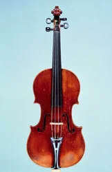 Violín