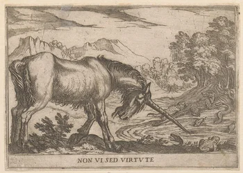 Un unicornio persigue a las lagartijas fuera de un estanque Virtud no vista (título sobre objeto) Animales de pelea (título de la serie)