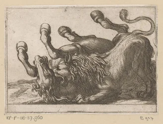 Un león muerde el cuello de un caballo Animales de pelea (título de la serie)