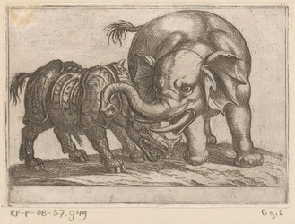 Un rinoceronte lucha contra un elefante. Animales de pelea (título de la serie)