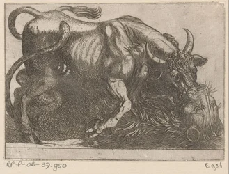 Un toro peleando con un león Animales de pelea (título de la serie)
