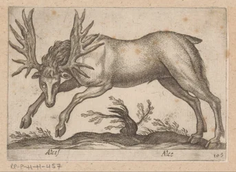 Elando Moose/ Moose (título sobre el objeto) Dieren en fablewezens (título de la serie) Nueva colección de los animales más curiosos del mundo (título de serie)