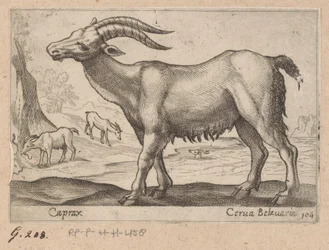 Gemas Caprax/ Cerua Belzuaria (título sobre objeto) Dieren en fablewezens (título de la serie) Nueva colección de los animales más curiosos del mundo (título de serie)