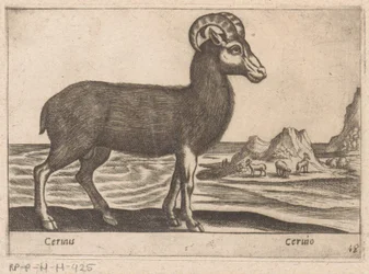 Gemas Cerinis / Ceruio (título sobre objeto) Dieren en fabelwezens (título de la serie) Colección Nova de los animales más curiosos del mundo (título de la serie)