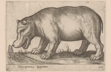Hipopótamo Hippopotamus/Ippopotamo (título sobre el objeto) Animales y criaturas míticas (título de serie) Nova raccolta de li animali piu curiosi del mondo (título de la serie)