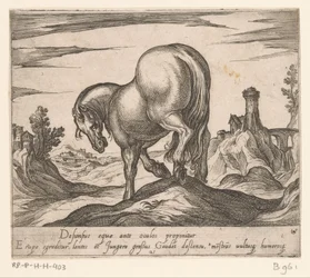 Caballo bajando una colina visto desde atrás Caballos de diferentes países (título de la serie) Su ducibus princeps celebraberis ore viroru illa homines venció a haec sideribusq locat (título de la serie)