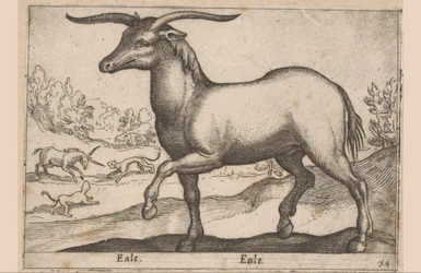 caballo con cuernos Eale/Eale (título sobre objeto) Animales y criaturas míticas (título de serie) Nova raccolta de li animali piu curiosi del mondo (título de la serie)