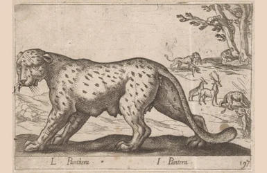 Pantera L Panthera/ I Panthera (título sobre objeto) Dieren en fablewezens (título de la serie) Nueva colección de los animales más curiosos del mundo (título de serie)