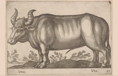 Redondo Vres/ Vro (título sobre objeto) Animales y criaturas míticas (título de serie) Nova raccolta de li animali piu curiosi del mondo (título de la serie)