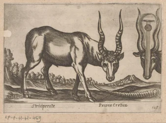 dos antílopes Striciperote/ Ganado cretense (título sobre el objeto) Dieren en fablewezens (título de la serie) Nova raccolta de li animali piu curiosi del mondo (título de la serie)