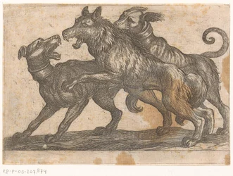 Dos perros luchando contra un lobo
Animales de combate (título de la serie)