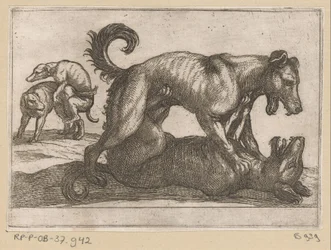 Dos perros de apareamiento y dos de pelea. Animales de pelea (título de la serie)
