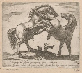 Twee parende paarden Paarden uit verschiedelde landen (título de la serie) Con estos líderes serás celebrado como un líder con boca de viroru.