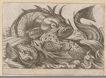 Dos peces luchadores Animales de pelea (título de la serie)
