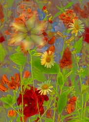 Artfloral no.5 charla primaveral, 2016 (foto)