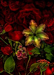 Artfloral no.7, 2015 (foto)