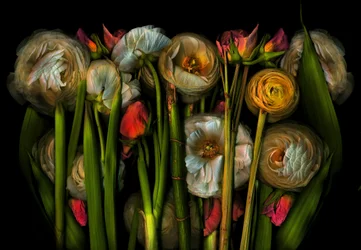 Earthart flora nº 3, 2024 (foto)
