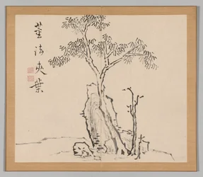 Reverberations of Taiga, Volume 1 (leaf 4)