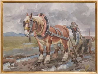 Trabajo en el campo