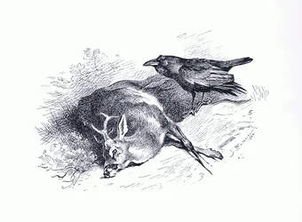 Ciervo muerto y cuervo, de los Mamíferos de Thorburn publicado por Longmans and Co, c. 1920
