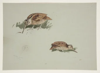 Dos viñetas de becadas, c. 1915