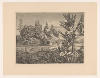 Paisaje con flores
