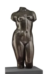 Torso de Venus (vista frontal)