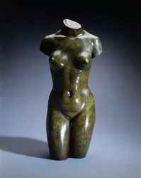 Torso de una mujer joven