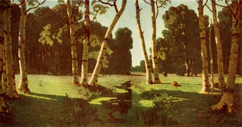 Un bosque de abedules
